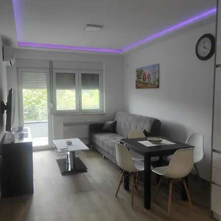 Cera Premium Apartment Soko Banja